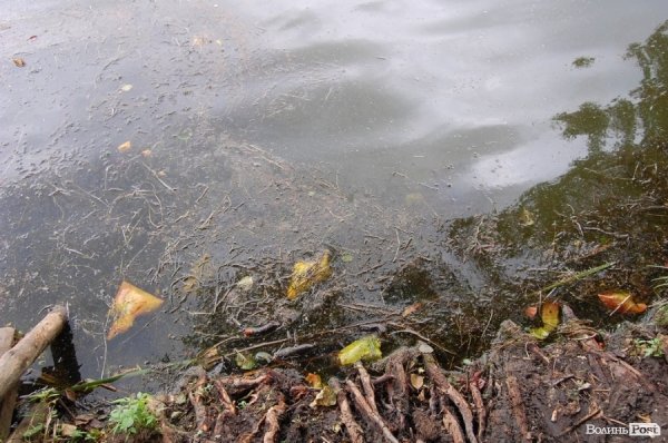 Відпочинок під Луцьком. Рокині. ФОТО