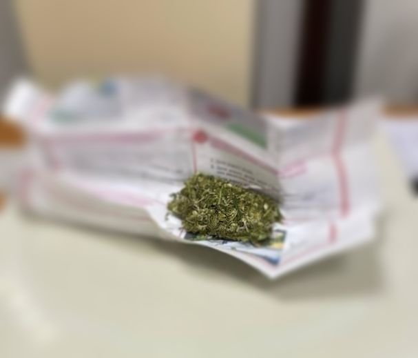 На «Ягодині» у пасажира автобуса, який їхав на заробітки до Польщі, знайшли галюциногенні гриби. ФОТО