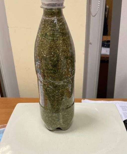 На «Ягодині» у пасажира автобуса, який їхав на заробітки до Польщі, знайшли галюциногенні гриби. ФОТО