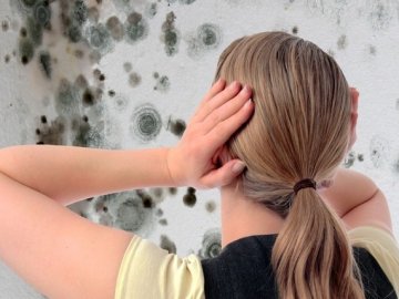 У Ковелі  квартири багатоповерхівки обросли цвіллю