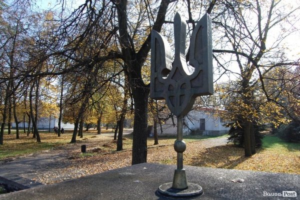 Ковель буденний. ФОТО