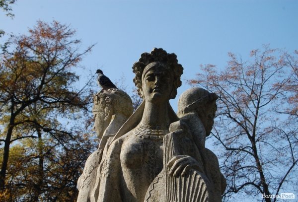 Ковель буденний. ФОТО