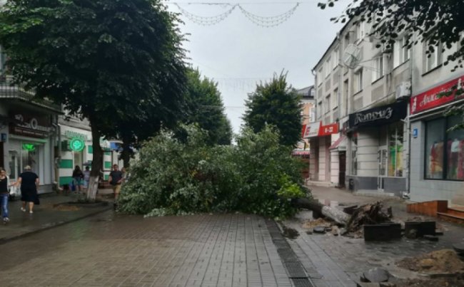 У Луцьку підприємець-новачок заробила майже півмільйона на «мутних» тендерах департаменту ЖКГ