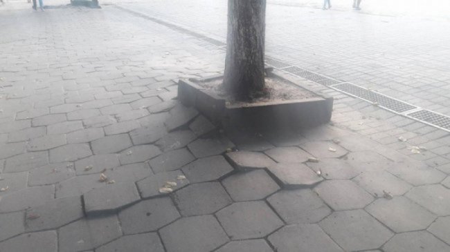 У Луцьку підприємець-новачок заробила майже півмільйона на «мутних» тендерах департаменту ЖКГ