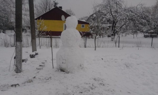 У Шацьку затіяли флешмоб сніговиків