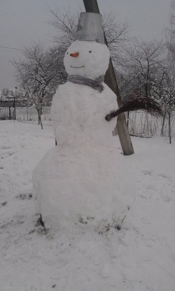 У Шацьку затіяли флешмоб сніговиків