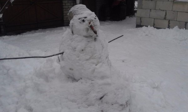 У Шацьку затіяли флешмоб сніговиків