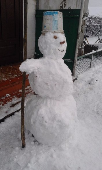 У Шацьку затіяли флешмоб сніговиків