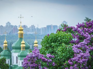 Добрі новини від ВолиньPost за 20 травня 