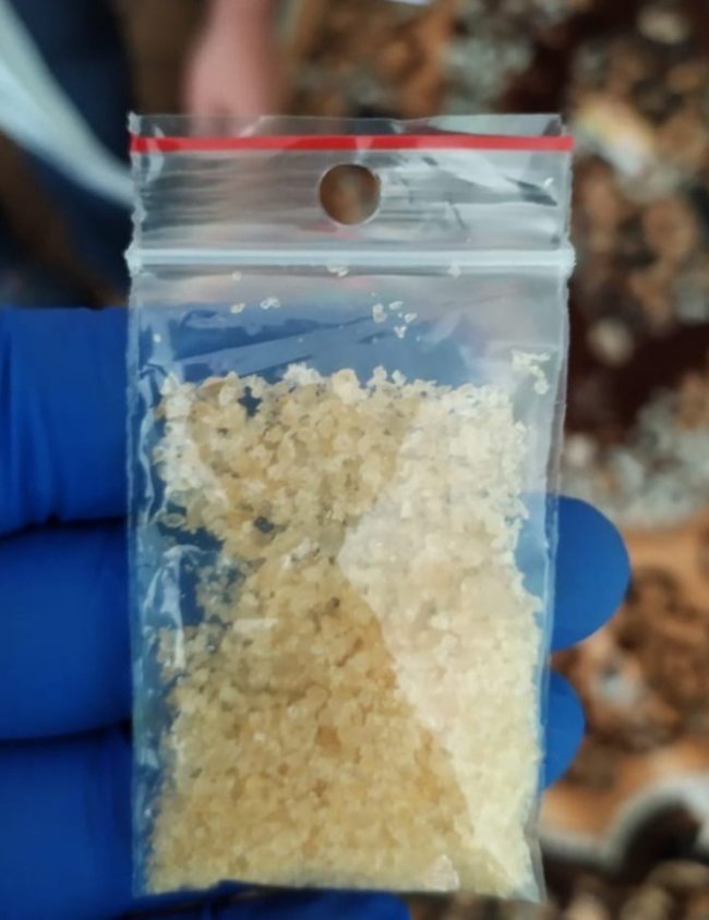 Викрили волинянина, який вирощував коноплі та торгував психотропами. ФОТО