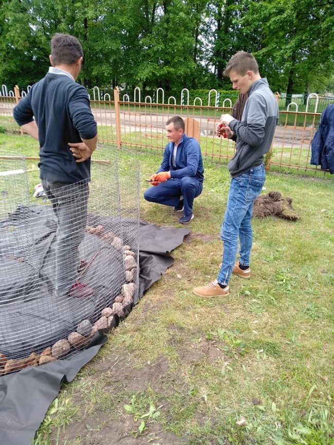 На подвір'ї школи на Волині створили креативні клумби. ФОТО