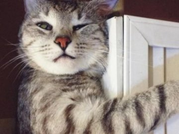 У місті на Волині відновлюють опалювальний сезон