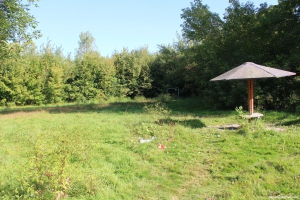 У Луцьку прибрали спортмайдачник біля «Спартака». ФОТО