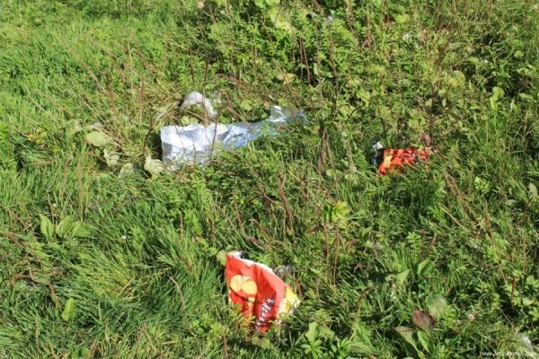 У Луцьку прибрали спортмайдачник біля «Спартака». ФОТО