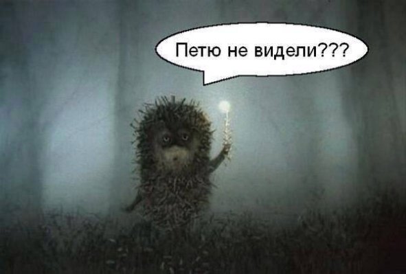 «Пєтю не бачили?» - як Україна чекала рішення Порошенка. ЦИТАТНИК СОЦМЕРЕЖ