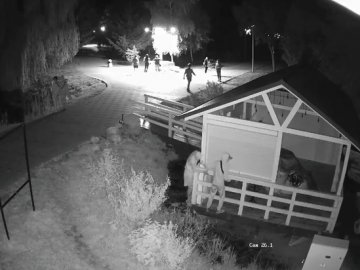 У центральному парку Луцька вночі з кафе викрали крісла-мішки: розшукують злодіїв. ВІДЕО