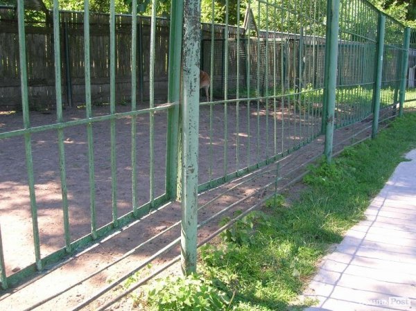 Вольєр не пошкоджений