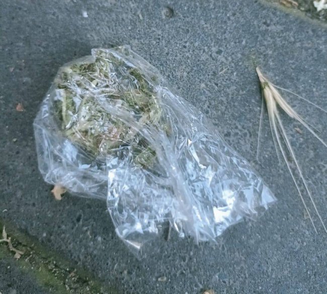 Двоє лучан організували наркобізнес на Волині. ФОТО