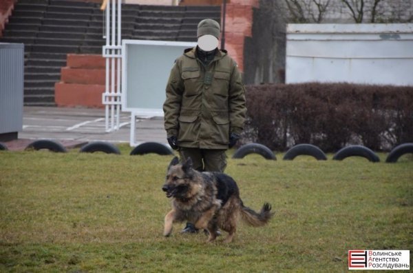 Луцькі гімназисти зібрали кошти для службових собак. ФОТО