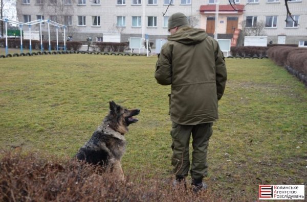 Луцькі гімназисти зібрали кошти для службових собак. ФОТО