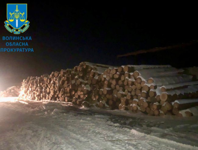 На Волині викрили масштабну схему розкрадання деревини з державних лісгоспів. ФОТО