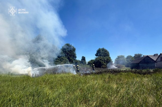 На Волині вогонь із сухої трави ледь не перекинувся на господарську споруду