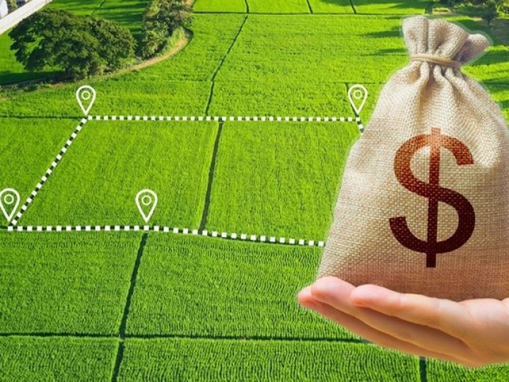 Волинь – п’ята у рейтингу найдорожчої землі в Україні