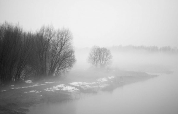 Знімки кращих фотографів України
