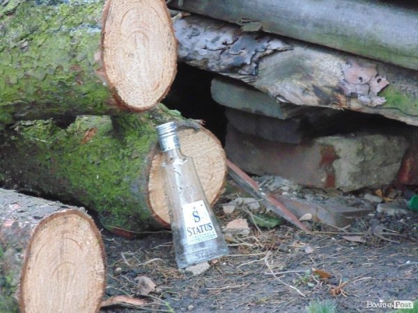 У центрі Луцька спиляли древню ялинку. ФОТО