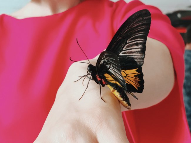 У «Промені» яскраво відсвяткували день народження дитячого комплексу*