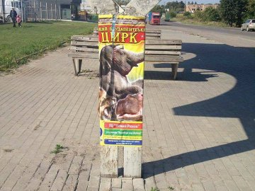 Циркачів змусили прибирати рекламу, якою вони заклеїли Луцьк