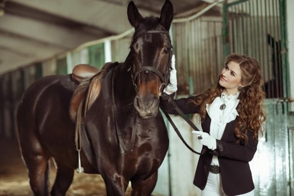 Партія регіонів і креатив: календар з фотографіями  жінок - членів партії
