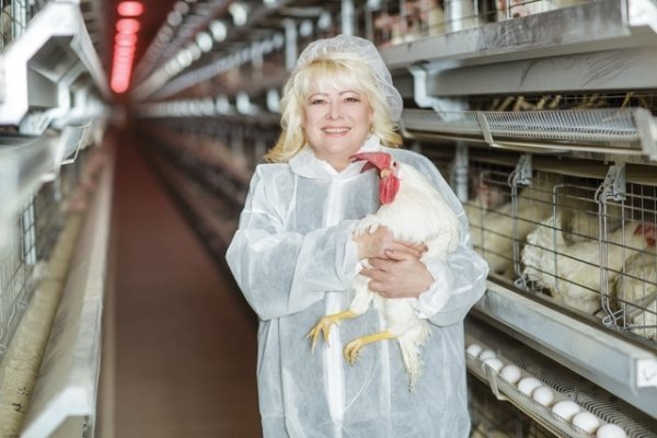 Партія регіонів і креатив: календар з фотографіями  жінок - членів партії