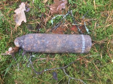 У волинських лісах за день місцеві знайшли два боєприпаси