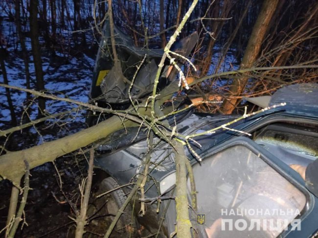 З’їхав у кювет та врізався у дерево: на Волині у ДТП постраждав 43-річний водій. ФОТО
