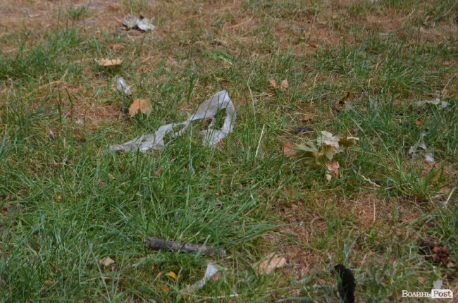 Тушки ворон і курячий послід: лучанин нарікає на безлад поблизу гуртожитків. ФОТО