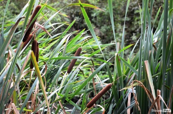 Фотопогляд: вулиця Шопена 