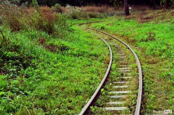 Фотопогляд: вулиця Шопена 