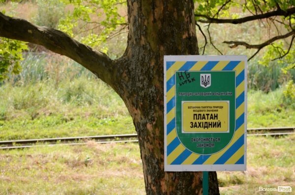 Фотопогляд: вулиця Шопена 