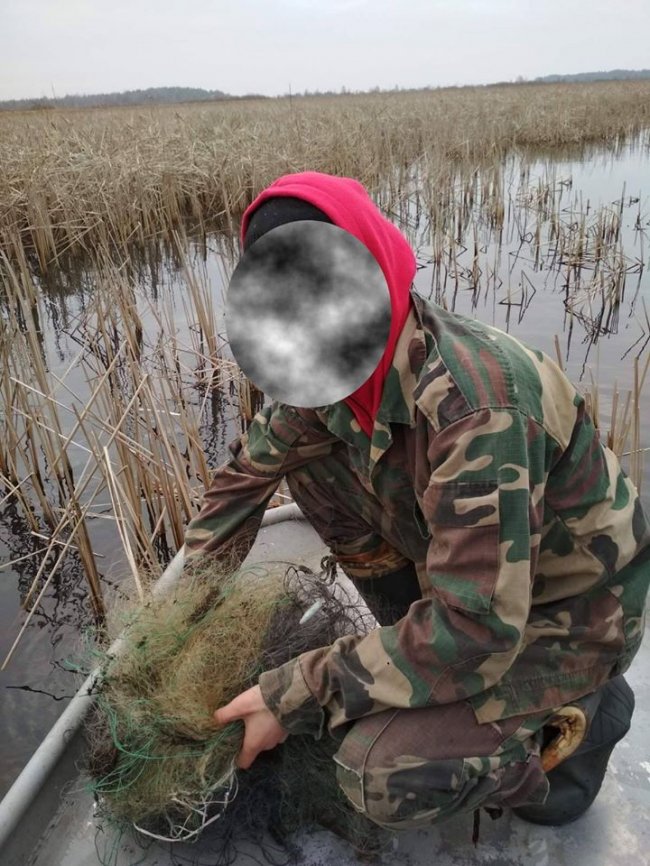 На території волинського заказника браконьєри ловили сіткою щук. ФОТО