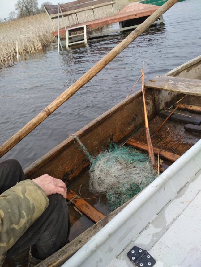 На території волинського заказника браконьєри ловили сіткою щук. ФОТО