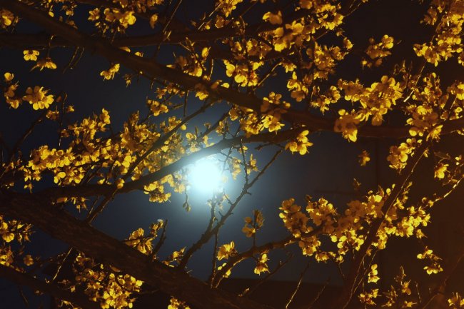 Фотограф опублікував магічні світлини вечірнього Луцька