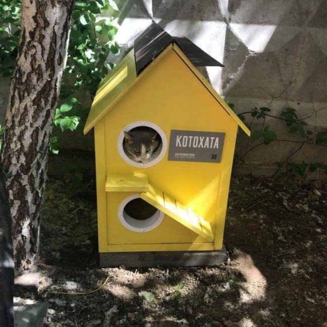 Волинян просять допомогти облаштувати зообудиночки