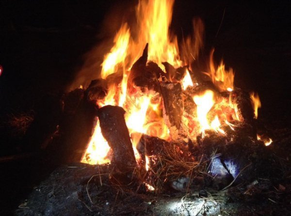 Волинський заказник перетворили на приватне мисливське угіддя, – волонтер