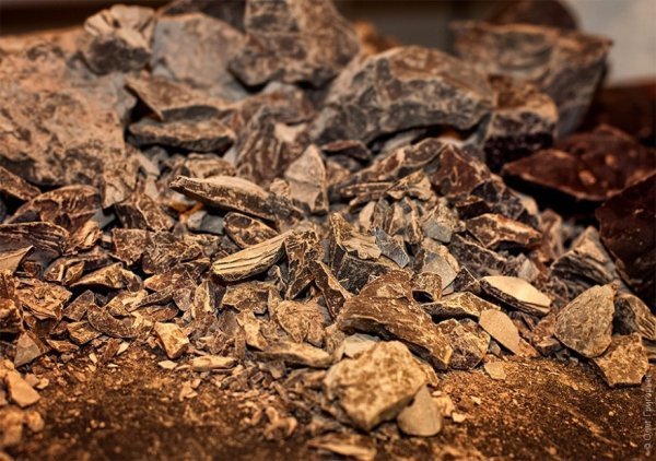 Як відбувалося Свято Шоколаду у Львові. ФОТО