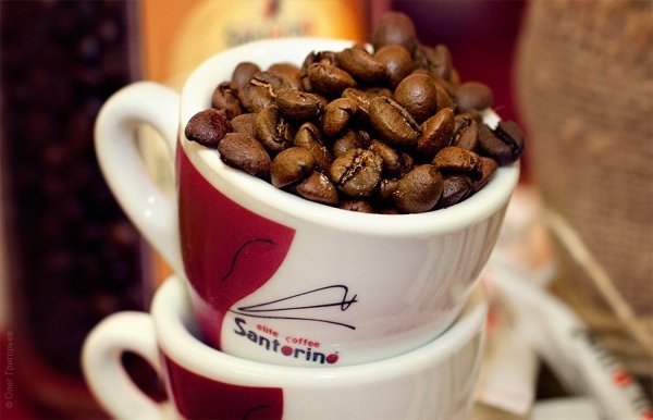 Як відбувалося Свято Шоколаду у Львові. ФОТО