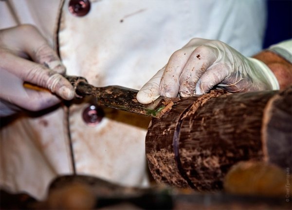 Як відбувалося Свято Шоколаду у Львові. ФОТО
