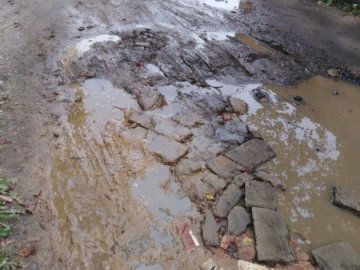 У Луцьку скаржаться на непрохідну калюжу посеред вулиці. ФОТО