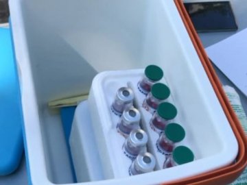 В селищі на Волині щеплять майже дві тисячі домашніх тварин