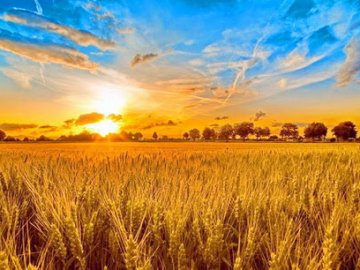 Якою буде погода на День Незалежності: синоптик озвучила прогноз